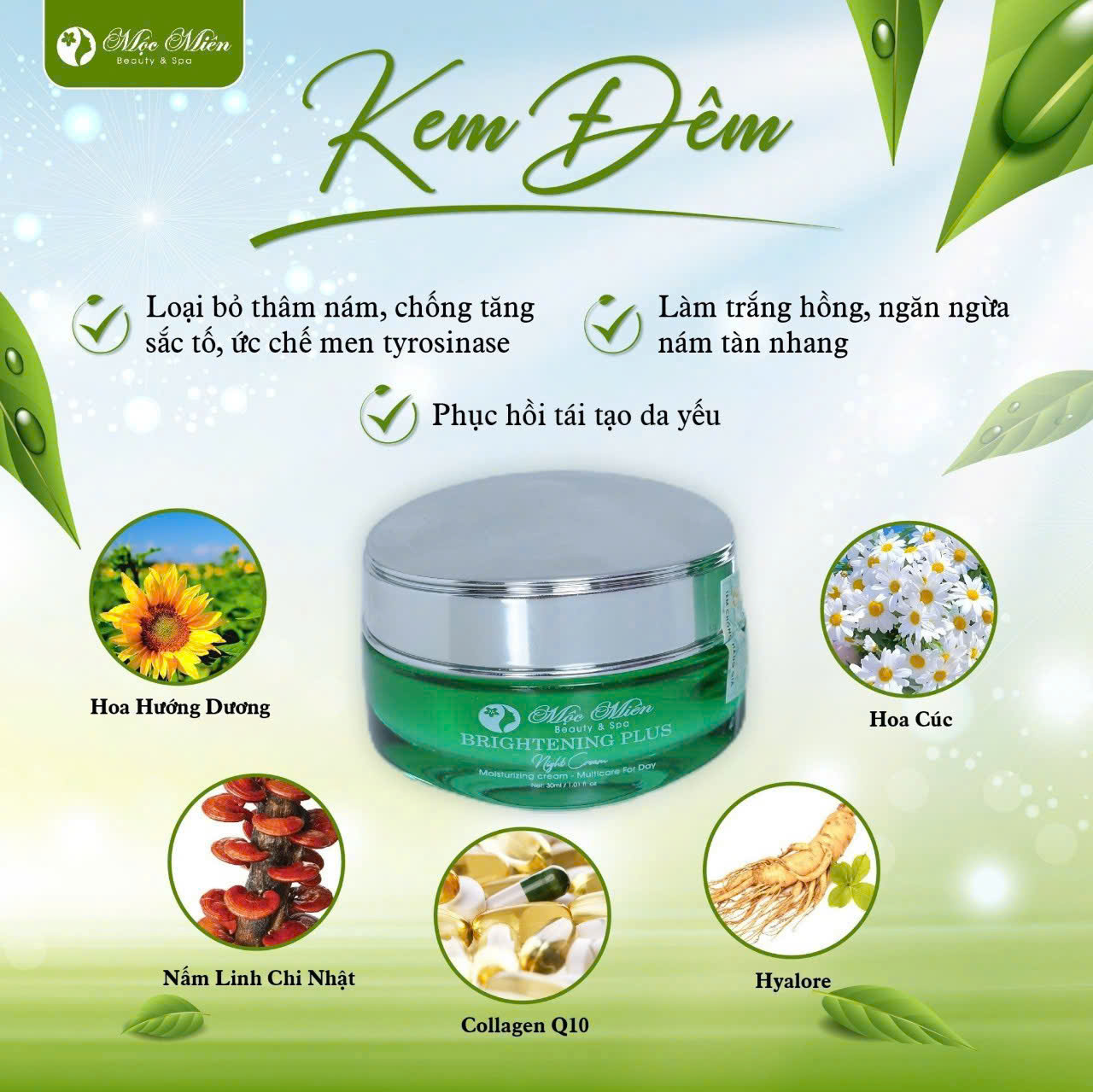 Sản phẩm