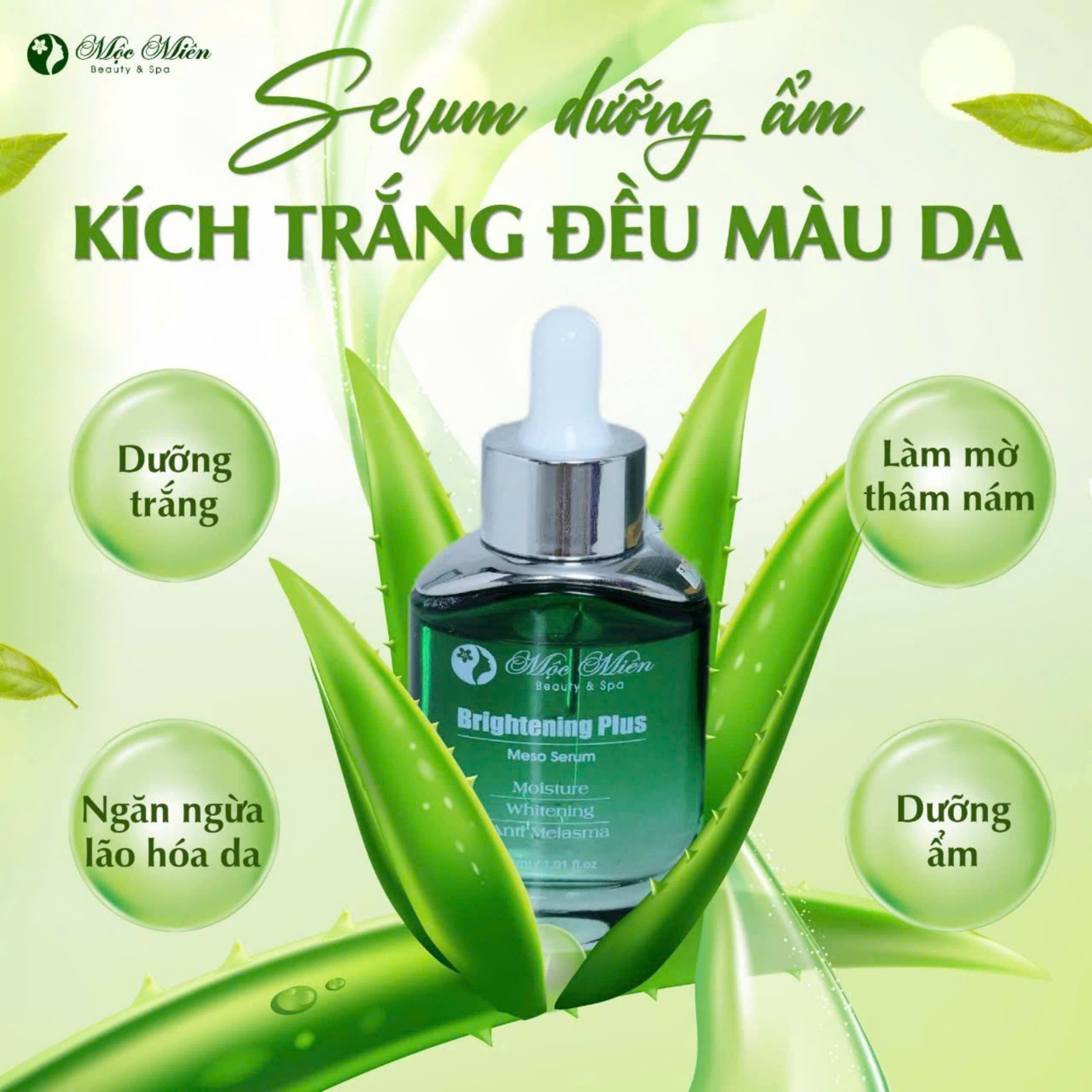 Sản phẩm