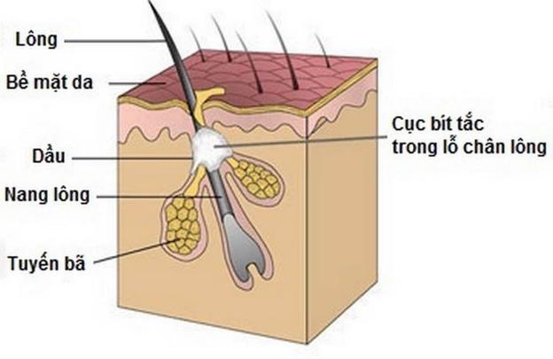 Tin tức